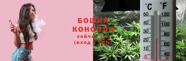 ешки Корсаков
