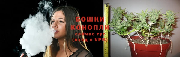 спиды Кодинск