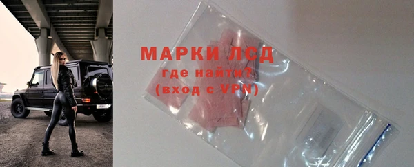 ешки Корсаков
