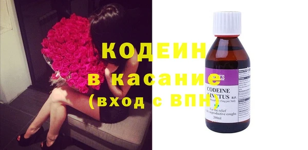 ешки Корсаков