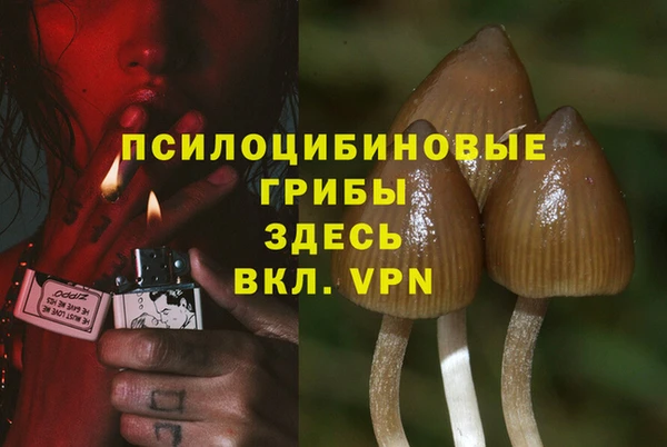 ешки Корсаков