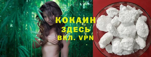 mdpv Козловка