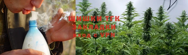 ешки Корсаков